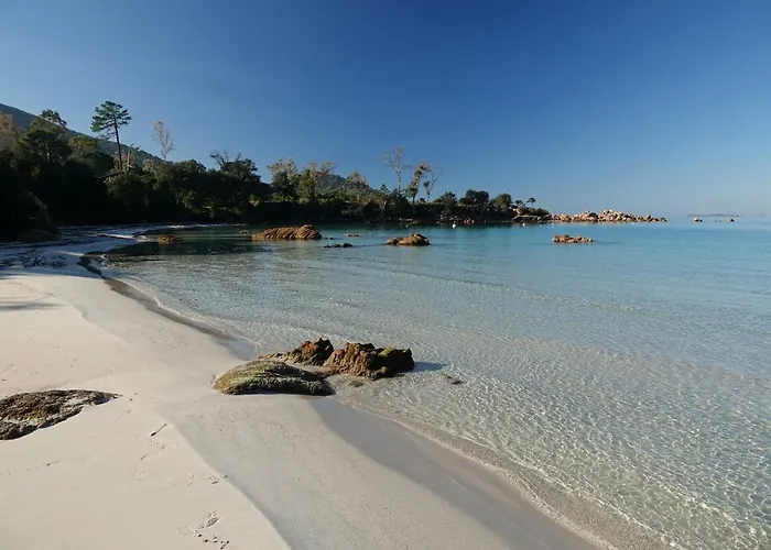 Avec Tres Jolie Vue Appartement