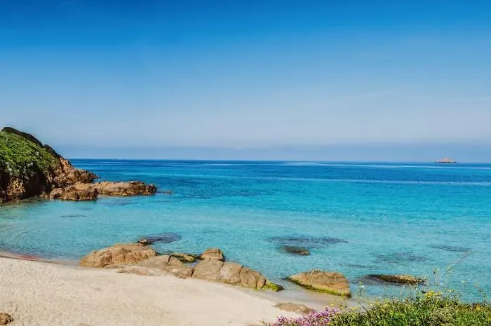 Avec Tres Jolie Vue Appartement